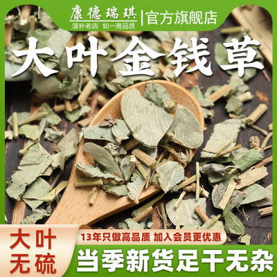 广西大叶搭配化石中药材金钱草