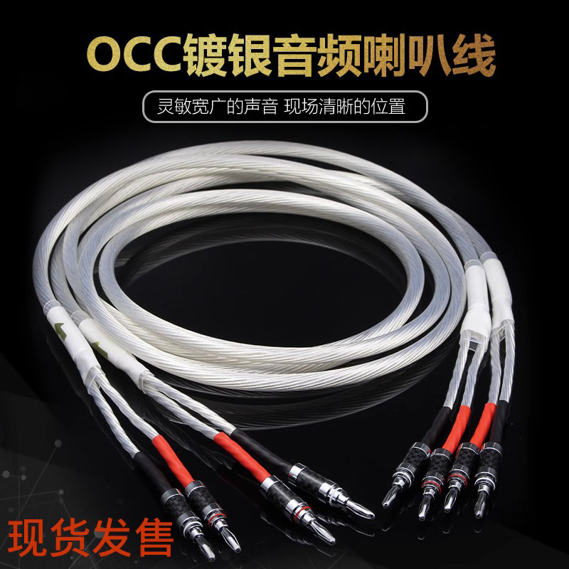 荷兰单晶银5nocc发烧发烧音箱