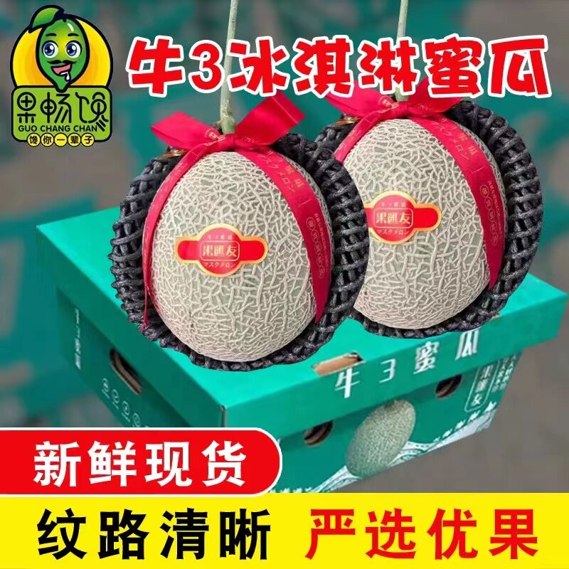 现货日本品种密瓜哈密瓜网纹蜜瓜牛3玫珑蜜瓜2只装静冈瓜品种