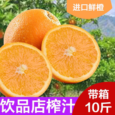 埃及进口带箱10新鲜水果多省包邮