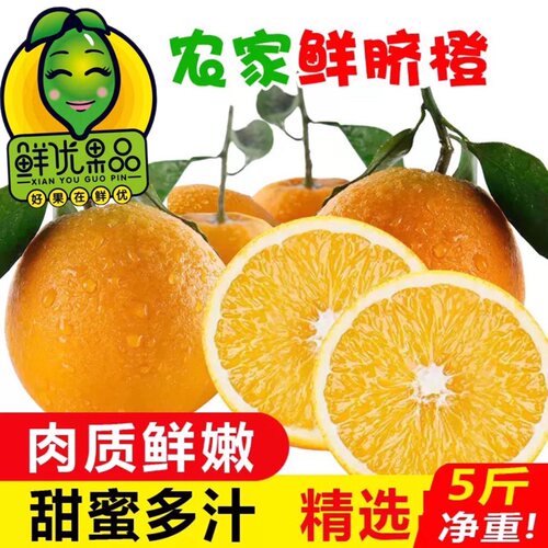 爆汁夏橙纯甜秭归脐橙伦晚橙子纽荷尔新鲜水果5斤9斤大果当季冰糖
