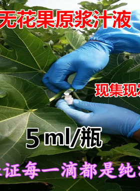 新鲜无花果白汁原浆乳液果实汁液