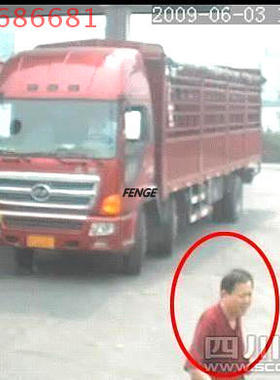 Cognitech视频模糊图像分析处理系统