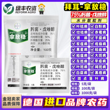 拿敌稳拜耳肟菌戊唑醇戍葡萄黄瓜白粉黑斑炭疽病叶斑病进口杀菌剂