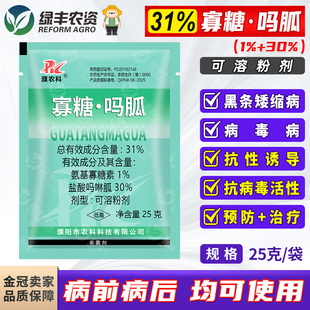 31%氨基寡糖素盐酸吗啉胍水稻大田番茄病毒病黑条矮缩病杀菌剂