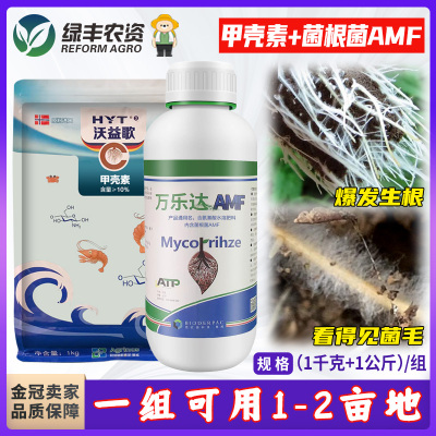 挪威进口爆根组合 AMF菌根菌+甲壳素快速生根改善土壤抗根结线虫