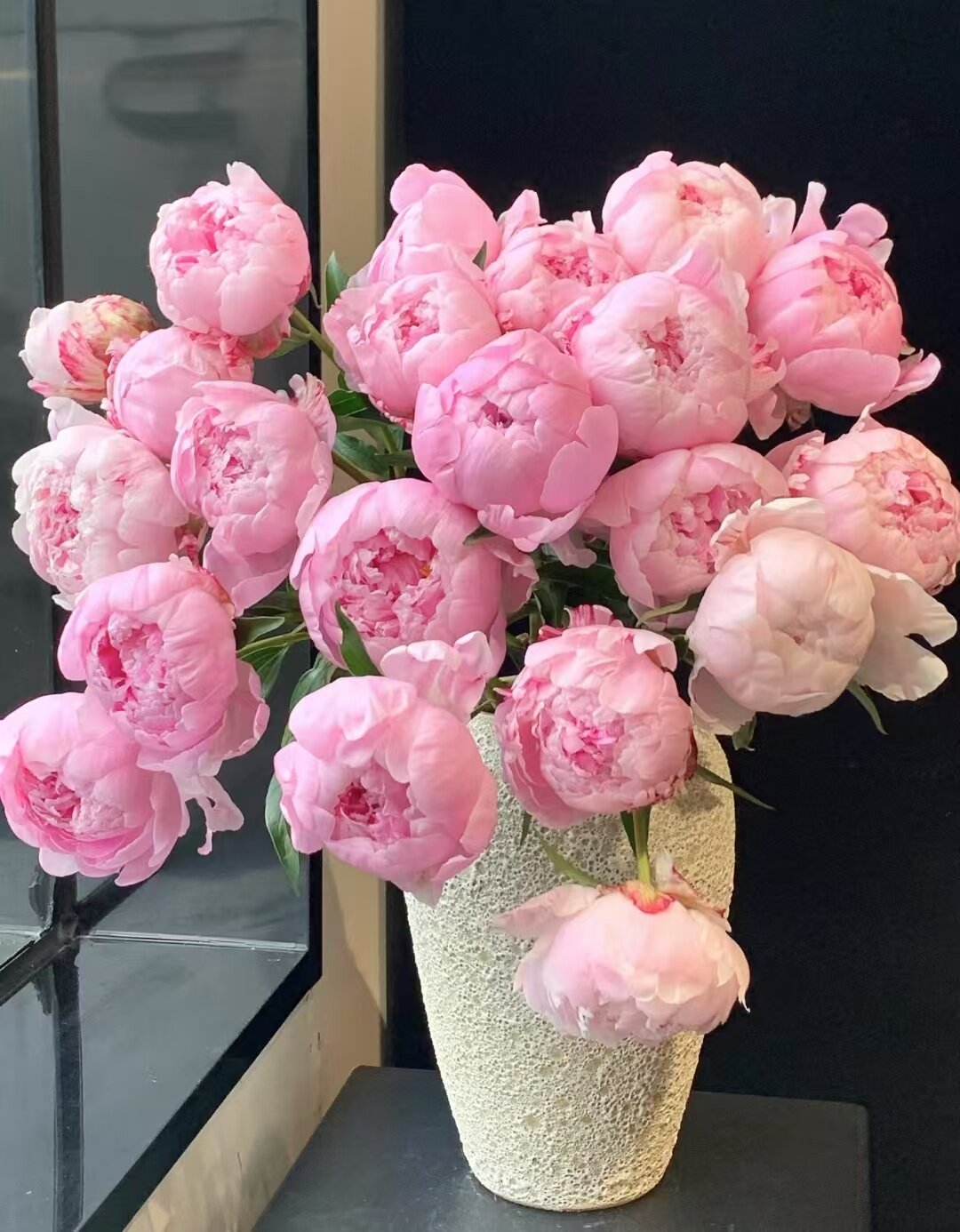 芍药落日珊瑚沙拉北京牡丹鲜花芍鲜花速递(同城)