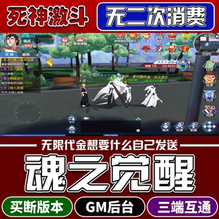 死神境界魂之觉醒同官版手游gm游戏后台无限内购资源安卓苹果