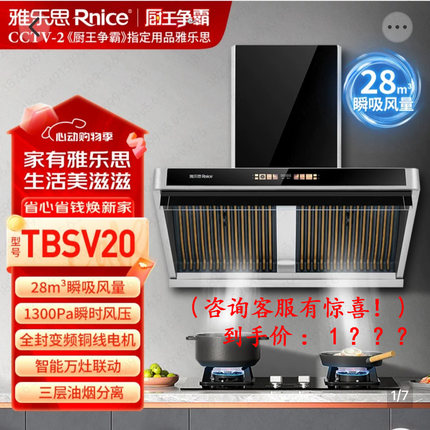 雅乐思抽油烟机高端TBSV20油烟分离28m³超大吸力变频铜线电机智