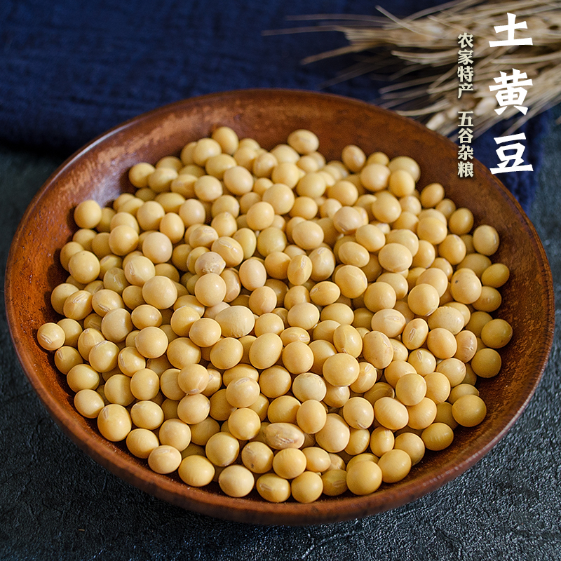 新豆农家自种黄豆大豆生豆芽打豆浆1斤5斤2500g多规格