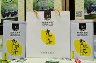 一夫田客家特产 一夫田香橼车175克礼盒装2瓶装