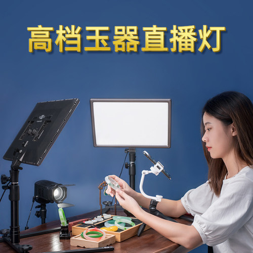 南冠14寸淘宝直播抖音翡翠常亮灯