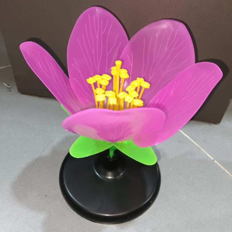 桃花模型中考生物实验模型花蕊花瓣放大模型花的结构