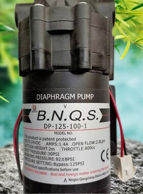 强生DP-125-50A增压泵家用净水器75S自吸泵100-1反渗透机器50J泵