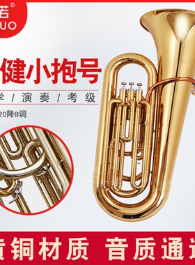 未诺 立健小抱号大抱号大号乐器降b调 VTU-E120 乐队低音抱号大号