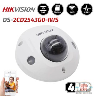 IWS像素4MP Net 海康威视英文版 2CD2543G0 Mini Dome Fixed