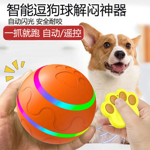 大小型狗狗玩具耐咬球宠物发光自嗨解闷自动旋转智能逗狗猫溜溜球