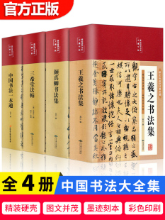 中国书法一本通书法史王羲之颜真卿书法集篆书楷书草书三希堂法帖鉴赏书手写书法书籍字体正版 彩图精装 书法作品手写真迹书法套装