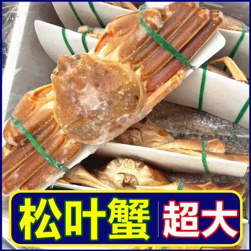 松叶蟹生冻冰鲜速冻俄罗斯长脚蟹