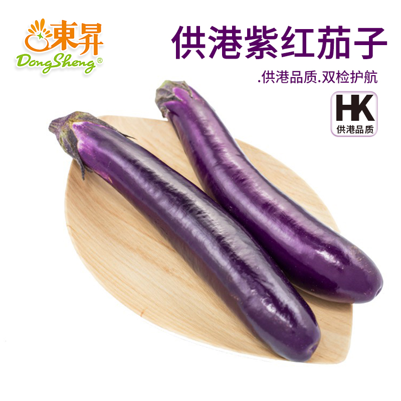 东升农场紫红茄子新鲜烧烤轻食