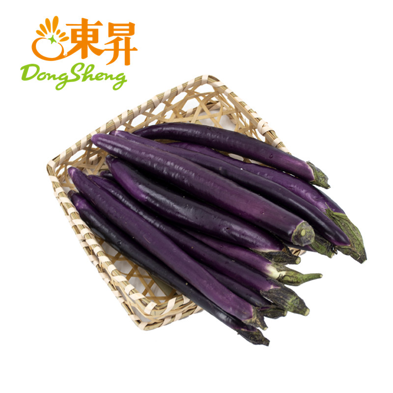 东升农场 杭茄新鲜长茄子蒜茄子 宝宝辅食 烧烤 广州新鲜配送400g