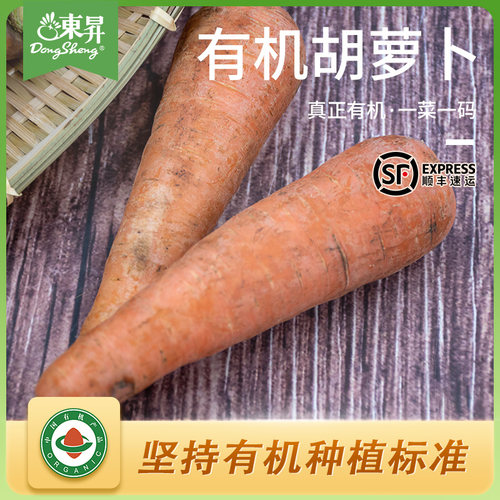 东升农场有机胡萝卜广州供港新鲜