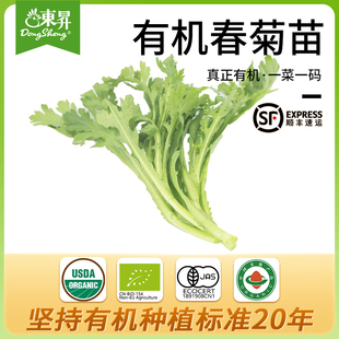 广州有机新鲜蔬菜配送250g 菊花菜蓬蒿 有机春菊苗 东升农场