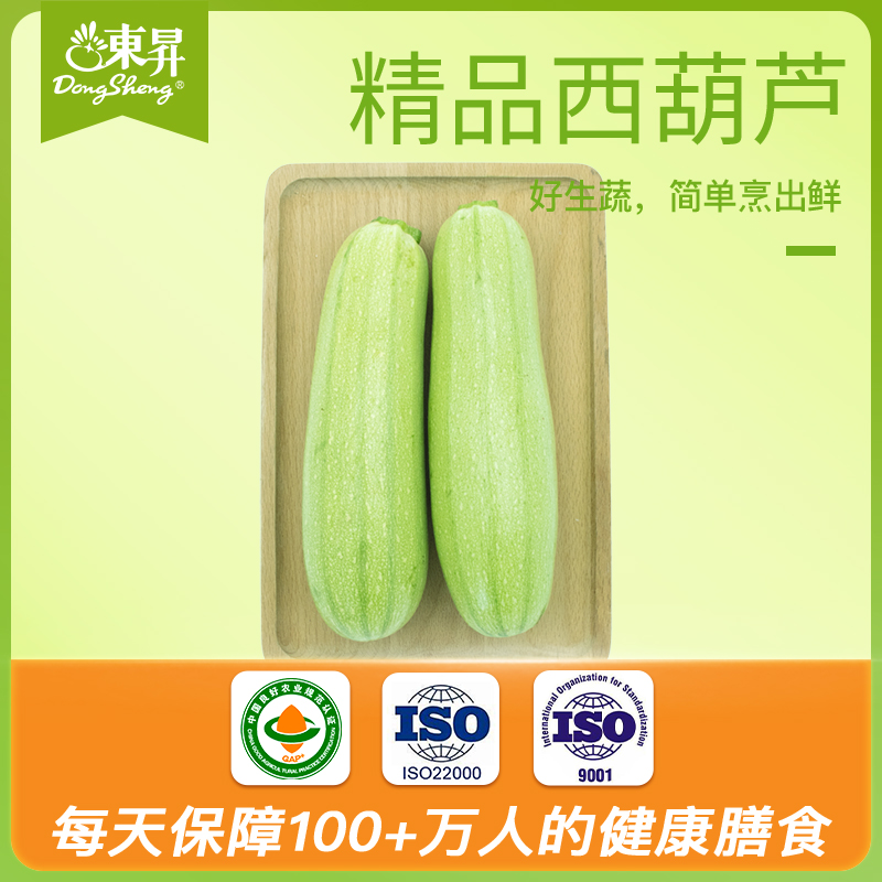 东升农场云南小瓜广州西葫芦