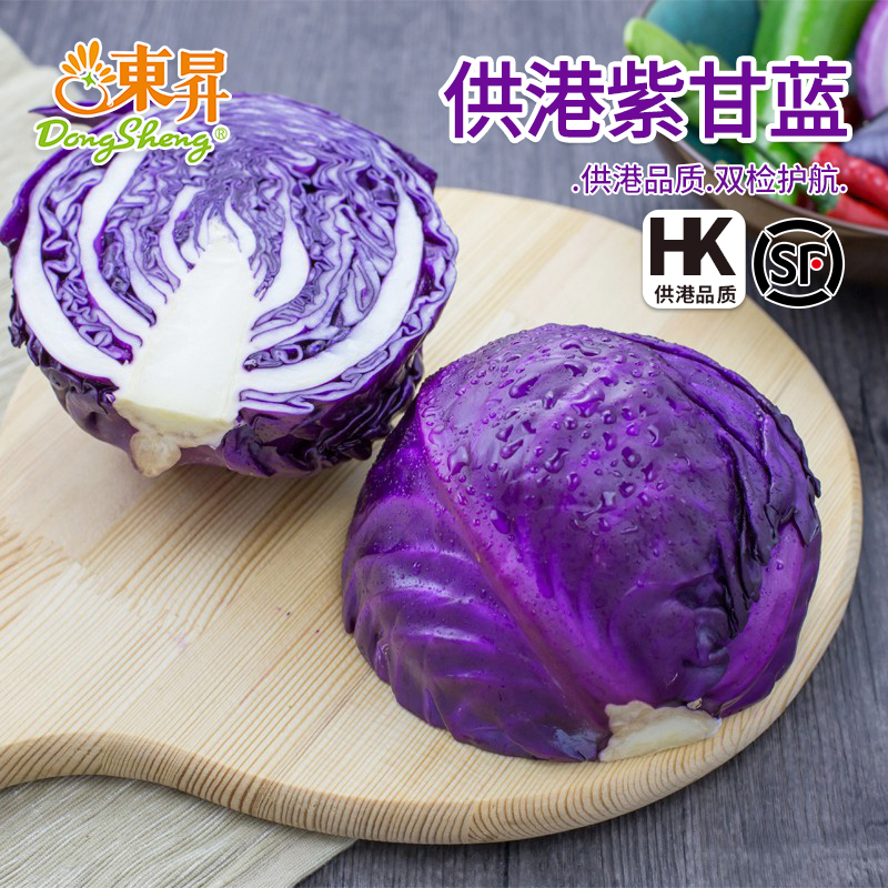 东升农场新鲜甘蓝包菜健身轻食
