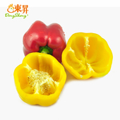 广州新鲜配送 东升农场 烧烤 沙拉蔬菜圆椒灯笼椒 400g 供港彩椒