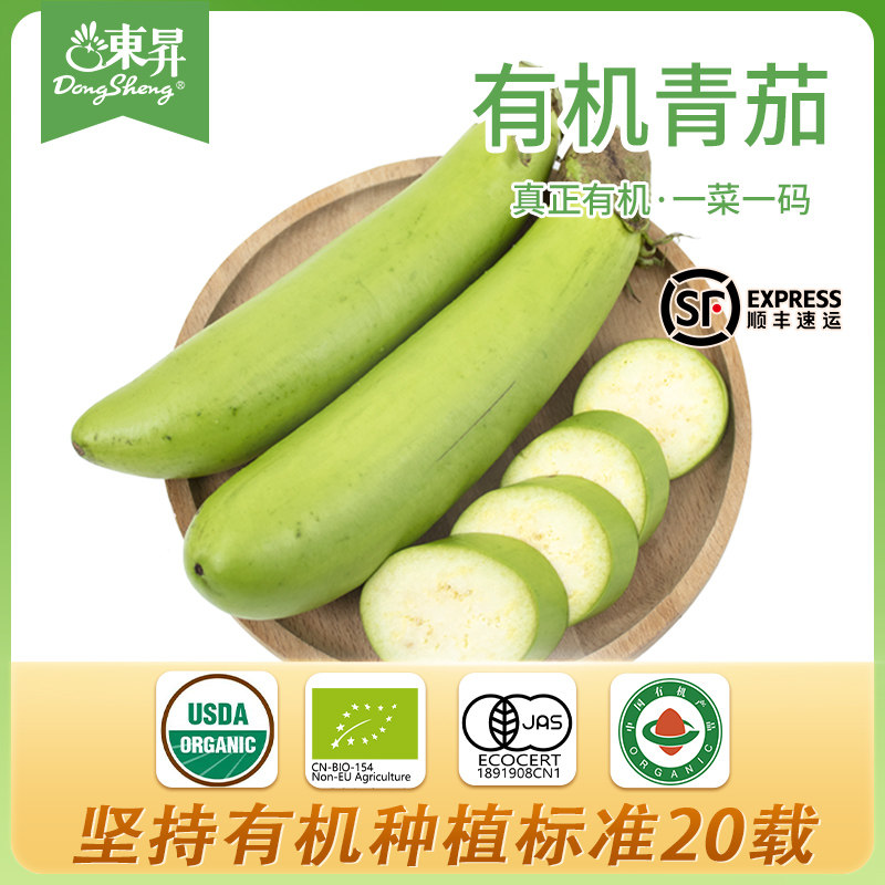 东升农场 东升有机青茄子 矮瓜青茄瓜 广州供港新鲜蔬菜配送 400g