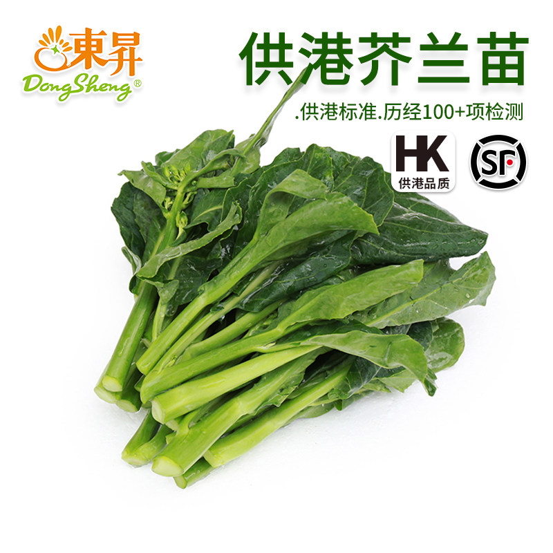 东升农场 供港芥兰苗 芥兰菜新鲜 供港蔬菜新鲜配送 250g