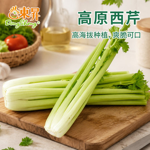 东升西芹轻食广州蔬菜新鲜配送