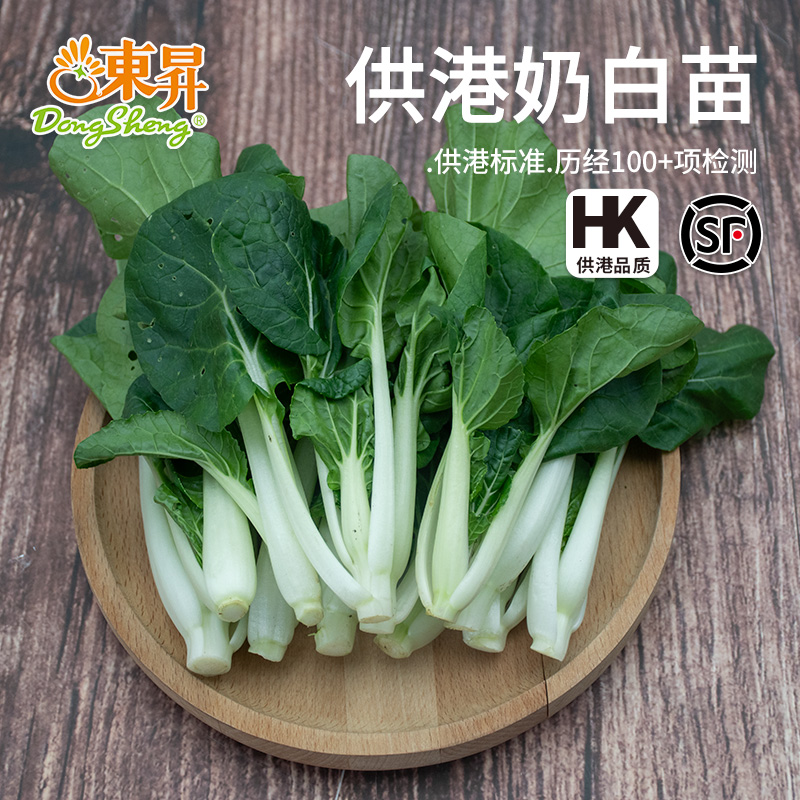 东升农场奶白食品火锅新鲜蔬菜