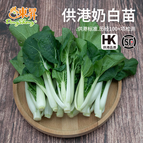 东升农场新鲜蔬菜宁夏菜