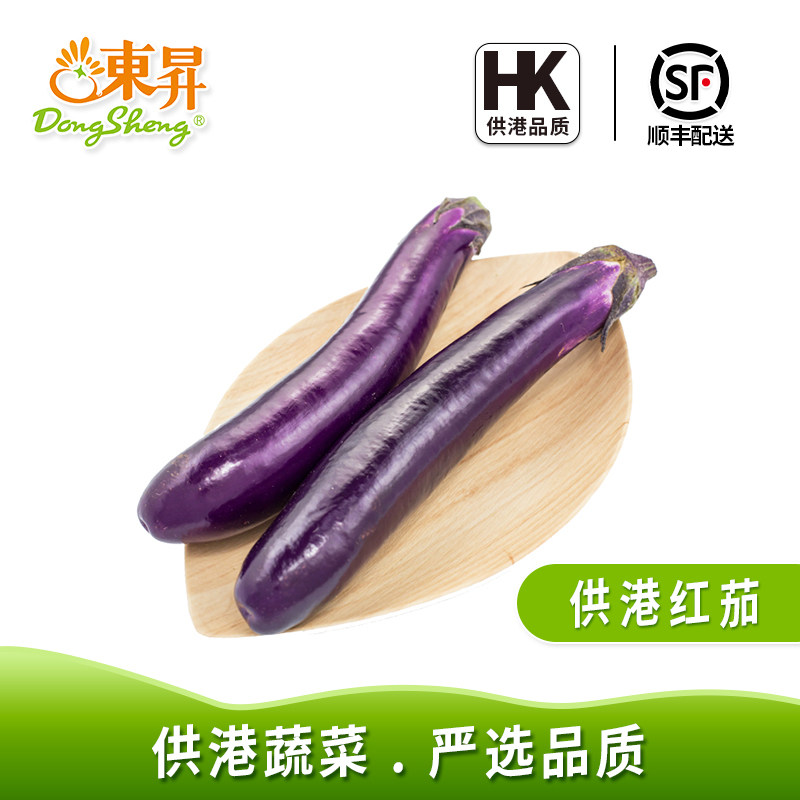 东升农场 供港茄子新鲜茄瓜 烧烤  供港蔬菜 广州配送500g