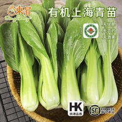 东升农场 有机上海青苗 有机鸡毛菜苗 广州有机新鲜蔬菜配送 250g