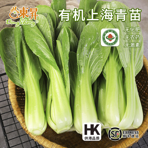 东升农场有机上海青苗新鲜蔬菜