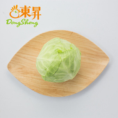 烧烤 卷心包菜球甘蓝圆白菜洋白菜 约700g 供港青椰菜 东升农场