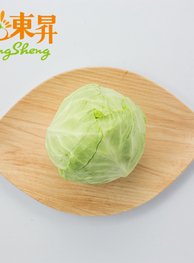 东升农场 供港青椰菜 卷心包菜球甘蓝圆白菜洋白菜 烧烤  约700g