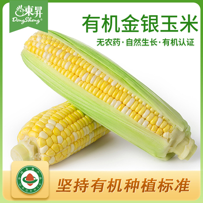 金银玉米东升有机认证