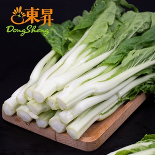 东升农场 秋香苔 白菜心 菜薹 菜心 菜心新鲜 广东蔬菜300g