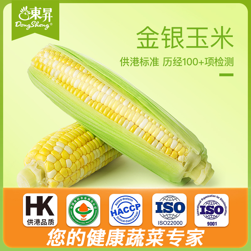 农场鲜甜轻食5斤金银玉米