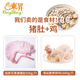 猪肚鸡食材 清远散养麻鸡1只1000g 瑶家花猪肚1只500g