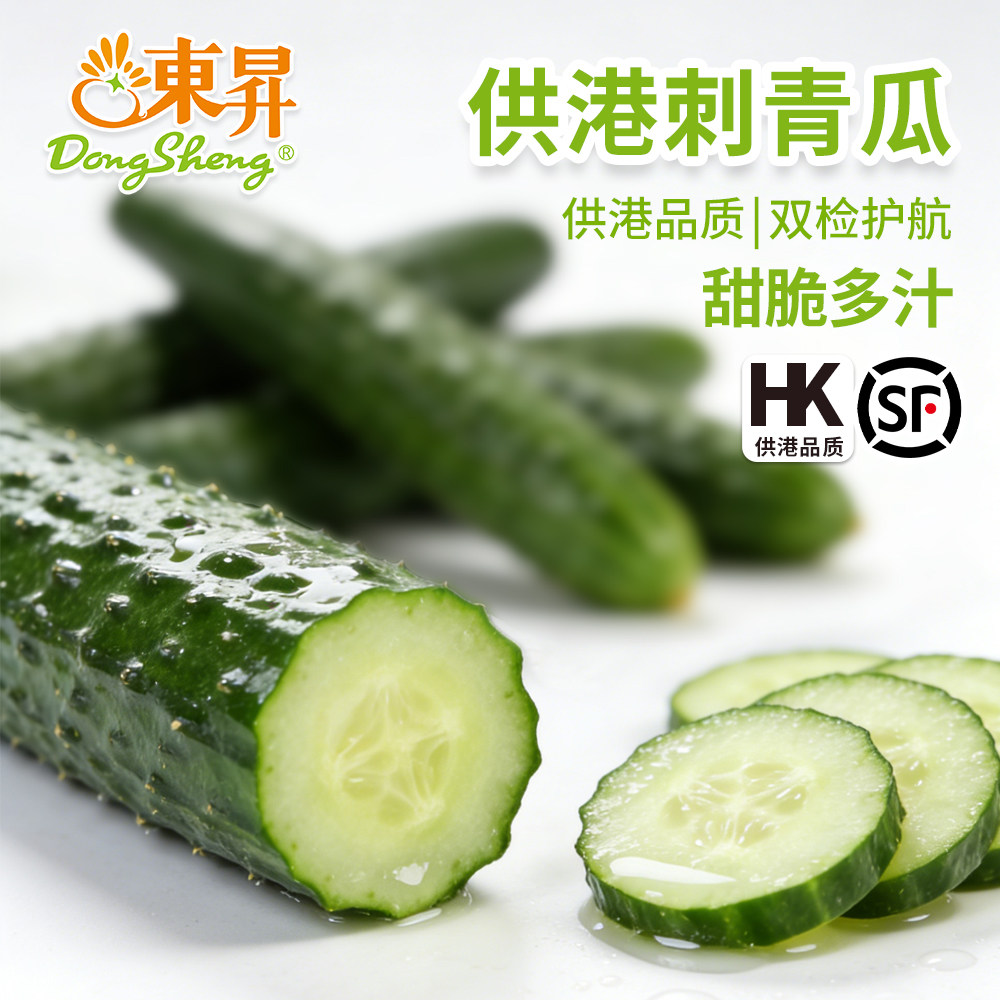 东升农场青瓜脆嫩凉拌刺青黄瓜
