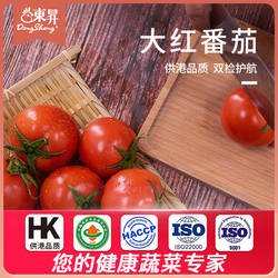 东升农场 供港大红番茄新鲜自然熟水果蔬菜沙瓤西红柿1斤火锅食材