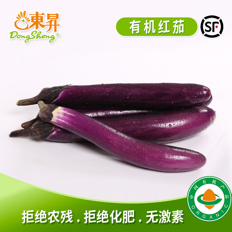 东升农场 新鲜有机红茄子紫茄子 烧烤食材 广州蔬菜新鲜配送400g
