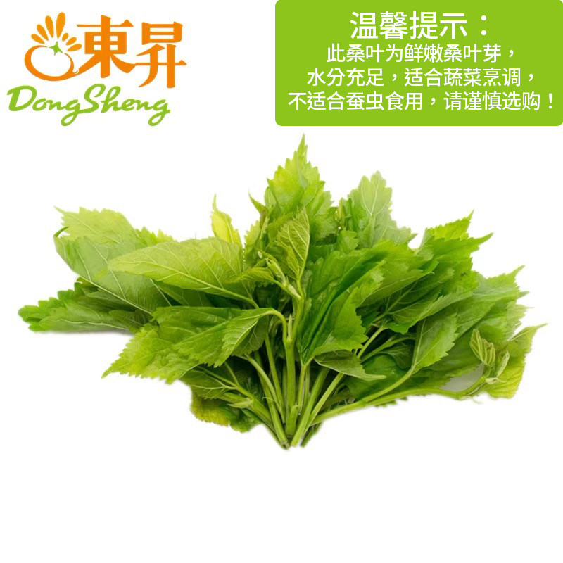 东升农场 东升桑叶 桑椹树 广州蔬菜新鲜配送250g(非蚕虫食用)