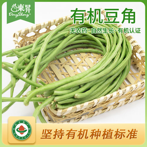 东升农场有机豆角广州蔬菜新鲜