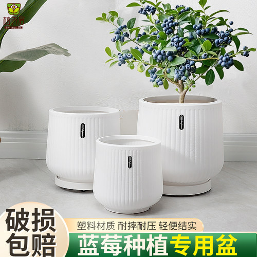 蓝莓种植专用加厚塑料花盆